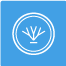 logo2-36
