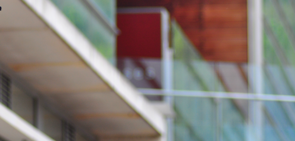 banner6-01